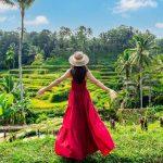 Demand for MetaQuote-Compliant Anjouan Licenses Surges Amid…