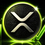 tZERO CEO Says XRP Has an Edge Over Bitcoin for Tokenized Capital Markets